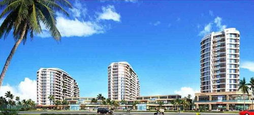 海岸漫谷纸得买吗
