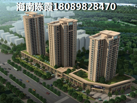 属狗的名字带有海好吗