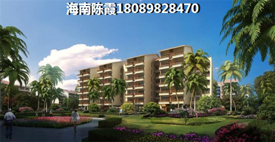 夏邑县商业街在哪 夏邑县商业街在哪